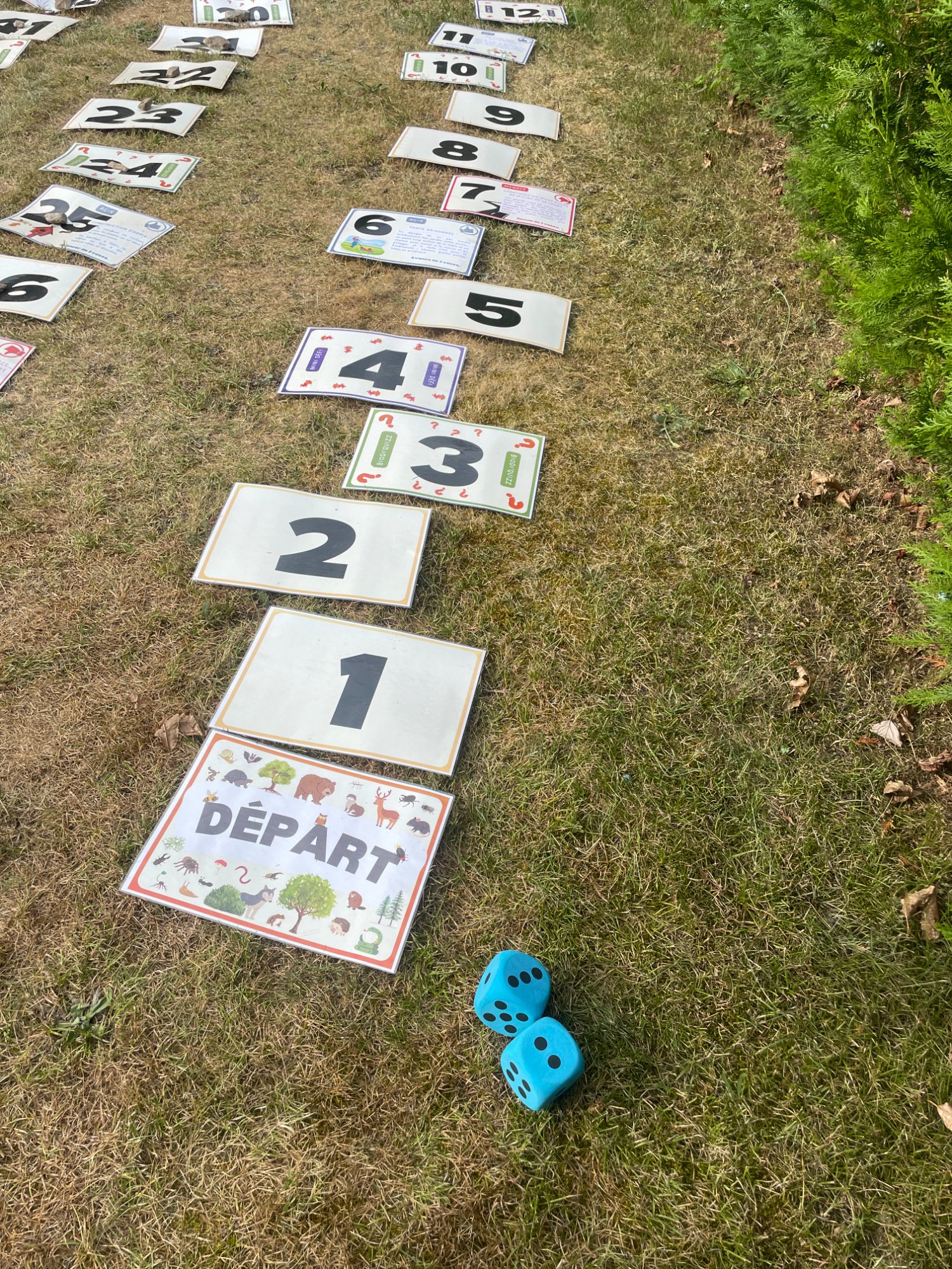 Jeu de l'oie géant biodiversité en extérieur