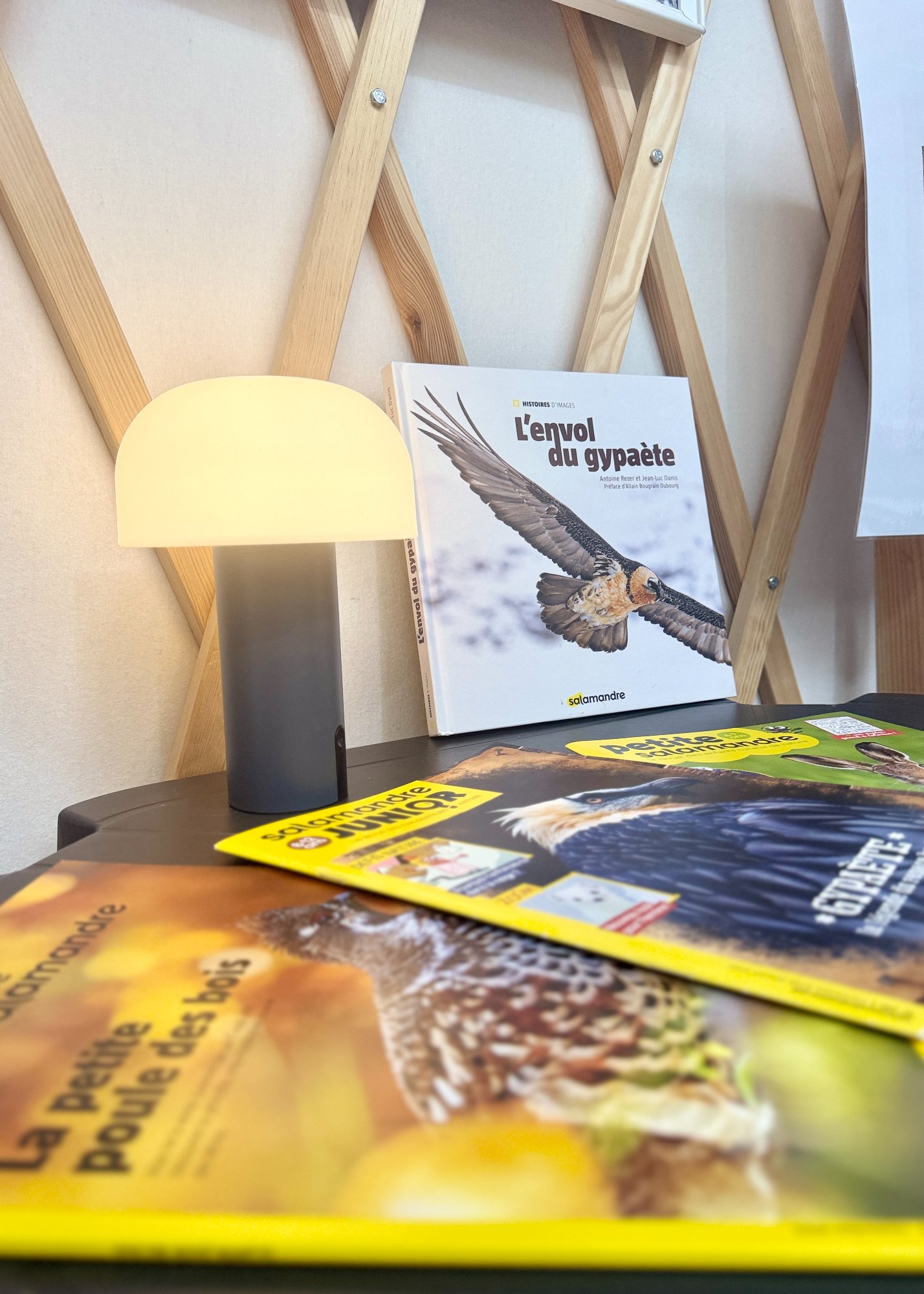 Revues La Salamandre — partenariat BUSE.